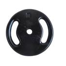 Anilha Ferro Fundido Pintada Academia 10 Kg