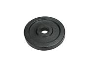Anilha Ferro Fundido Pintada Fitness Academia 1/2 Kg