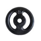 Anilha Ferro Fundido Pintada Fitness Academia 4Kg