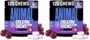 Animal Creatine Chews 5 g de creatina monohidratada 120 comprimidos mastigáveis Animal Creatine Chews 5 g de creatina monohidratada 120 comprimidos mastigáveis