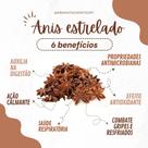 Anis estrelado pacote 100 gramas Anis estrelado pacote 100 gramas