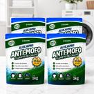 Anti Mofo Com Cloreto de Cálcio Elimina Mofo e Mau Cheiro 1Kg Para Closets Armários Banheiros Ambientes Fechados