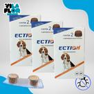 Anti Pulgas, Carrapatos E Sarna Ection Para Cães de Todas as Raças e Tamanhos
