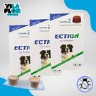 Anti Pulgas, Carrapatos E Sarna Ection Para Cães de Todas as Raças e Tamanhos