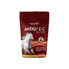 Antiox E-C-Selênio - 500 gr - Organnact
