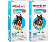 Antipulgas BravectoCães 20 A 40kg 1000mg - Kit com 2 Unidades - Envio Imediato