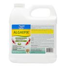 API Pond Algaefix Controle de Algas Frasco de 1890 ml