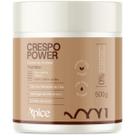 Apice Creme de Pentear Crespo Power 500g