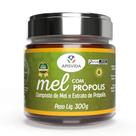 APISVIDA Mel com Própolis Pote 300g Suporte Natural ao BemEstar Diário APISVIDA Mel com Própolis Pote 300g Suporte Natural ao BemEstar Diário
