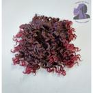 Aplique Afro Puff Cacheado