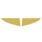 Aplique Canto Inferior Grade - Dourado - Para Scania NTG