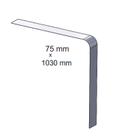 Aplique Cinta Tanque 75x1030 Para Scania - Espelhado