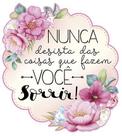 Aplique Decoupage Nunca Desista Apm8-997 Em Papel E Mdf 8cm Litoarte