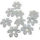 Aplique Flor Acrílica para Tiaras Chinelos Sandálias Bordados e Roupas 10 Unidades