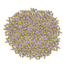 Aplique Florzinha pacote com 100 unidades LILAS