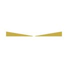 Aplique Inferior Aerofólio - Dourado Para Volvo New FH