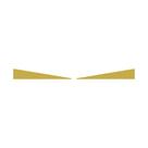 Aplique Inferior Aerofólio Para Volvo New FH Dourado