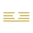 Aplique Máscara Grade Para VW Constellation Dourado Conjunto