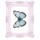 Aplique Papel Decoupage em Mdf Moldura Borboleta Apm8-1345 8cm Litoarte