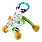 Apoiador Zebra Para Bebês Fisherprice 6 Meses Mattel Colorido