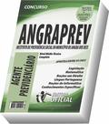 Apostila ANGRAPREV - Agente Previdenciário - CURSO OFICIAL Apostila ANGRAPREV - Agente Previdenciário - CURSO OFICIAL