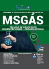 Apostila MSGÁS - Técnico de Processos Organizacionais - Organizacional
