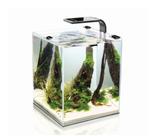 Aquael Kit Aquário De Camarões E Peixes Shrimp Set Smart 30l
