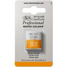 Aquarela Pastilha Profissional Winsor 285 Gold Ochre Aquarela Pastilha Profissional Winsor 285 Gold Ochre