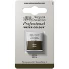 Aquarela Pastilha Profissional Winsor 609 Sepia