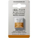 Aquarela Pastilha Profissional Winsor&newton 076 Burnt Umber