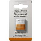 Aquarela Profissional Winsor Newton S1 381 Magnesium Brown