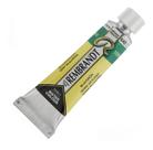 Aquarela Tubo Profissional Rembrandt 10 Ml 640 Bluish Green