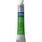 Aquarela Winsor & Newton Cotman 8ml 599 Sap Green