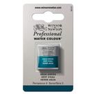 Aquarela Winsor & Newton Profissional Meio Pastilha Verde Água