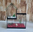 Aquario Beteira Castelo Para Peixe Betta decorado pedrinhas e planta artificial
