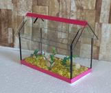 Aquario Beteira Para Peixe Betta Casinha II Decorada