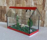 Aquario Beteira Para Peixe Betta Casinha II Decorada