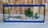Aquário Beteira Retangular 4 Litros até a borda 30cm II Para Peixe Betta Ornamentação Decorado