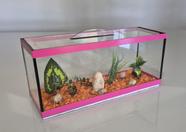 Aquário Beteira Retangular 4 Litros até a borda 30cm II Para Peixe Betta Ornamentação Decorado Aquário Beteira Retangular 4 Litros até a borda 30cm II Para Peixe Betta Ornamentação Decorado