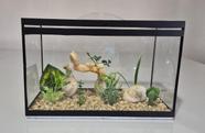Aquário Beteira Retangular Decorada 8 Litros até a borda Peixe Betta Aquário Beteira Retangular Decorada 8 Litros até a borda Peixe Betta