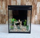 Aquário Beteira Tubular Decorada Peixe Betta 9 Litros (até a borda) Aquário Beteira Tubular Decorada Peixe Betta 9 Litros (até a borda)