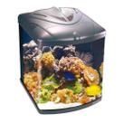 Aquário Boyu Curvo TL 550 128 Litros - 220V
