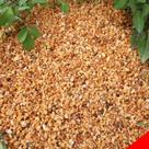 Aquarium Gravel Mix Rocks 8,16 kg para bonsai de cactos suculentos