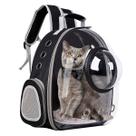 Aqui estão mais 80 títulos para o anúncio da Mochila Pets