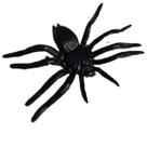 Aranha borracha para decoração Halloween c/12 festas
