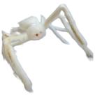 aranha branca Gigante 60x12cm Decoração De Halloween aranha branca Gigante 60x12cm Decoração De Halloween