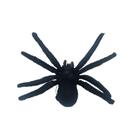 Aranha Caranguejeira De Borracha Brinquedo Surpresa - Pimpum