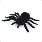 Aranha Decorativa 11x16cm Preta Veludo Cromus