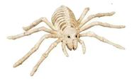 Aranha Esqueleto Decorativa Halloween - Assustadora 60cm