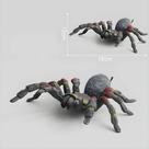 Aranha Falsa Grande De 10cm, Tarântula Preta, Brinquedo De Terror Para Halloween, Acessórios De
